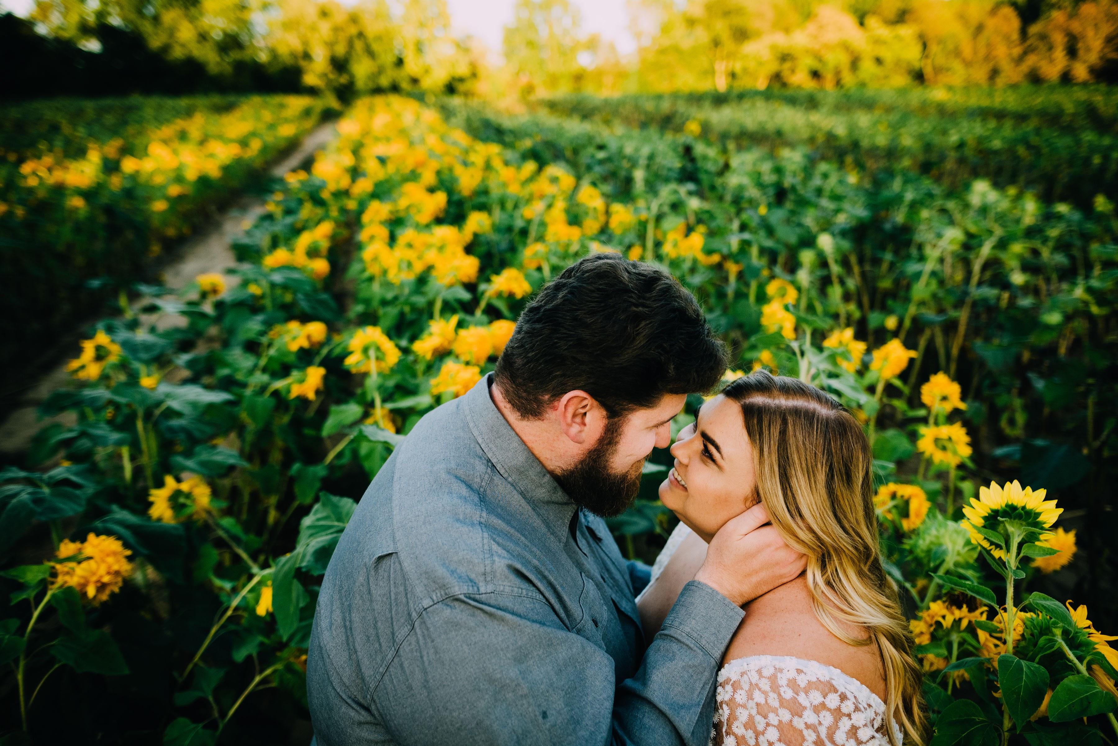 The Wedding Website of Taylor Baston and James Ferguson
