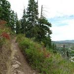 Sweeney Switchbacks Trail