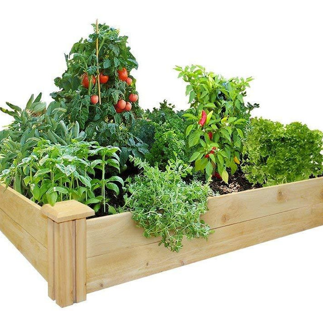 Greenes Fence Raised Garden Bed, 48" L x 48" W x 7" H, Cedar