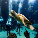 The Florida Aquarium