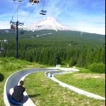 Alpine Slide Skibowl