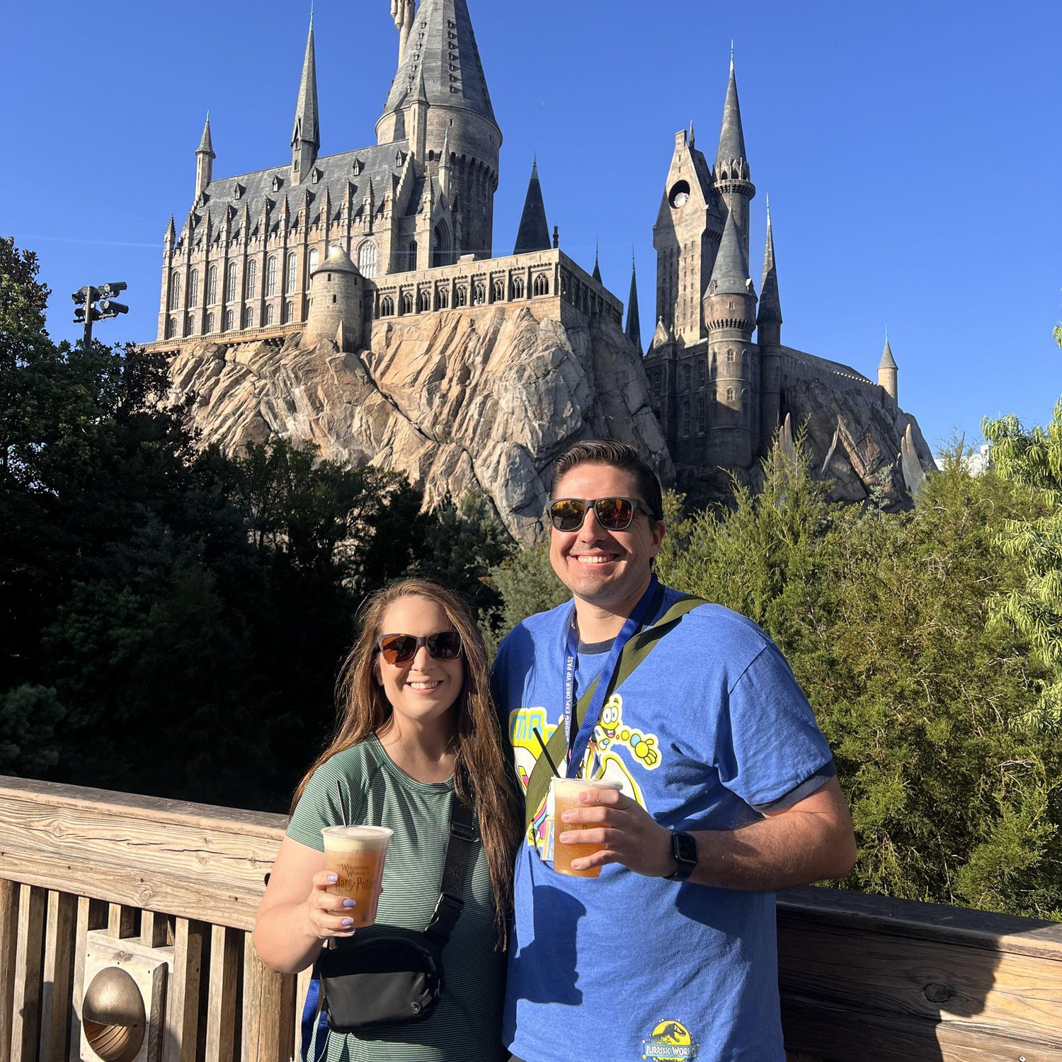 YER A WIZARD HARRY