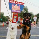 Martha's Dandee Creme