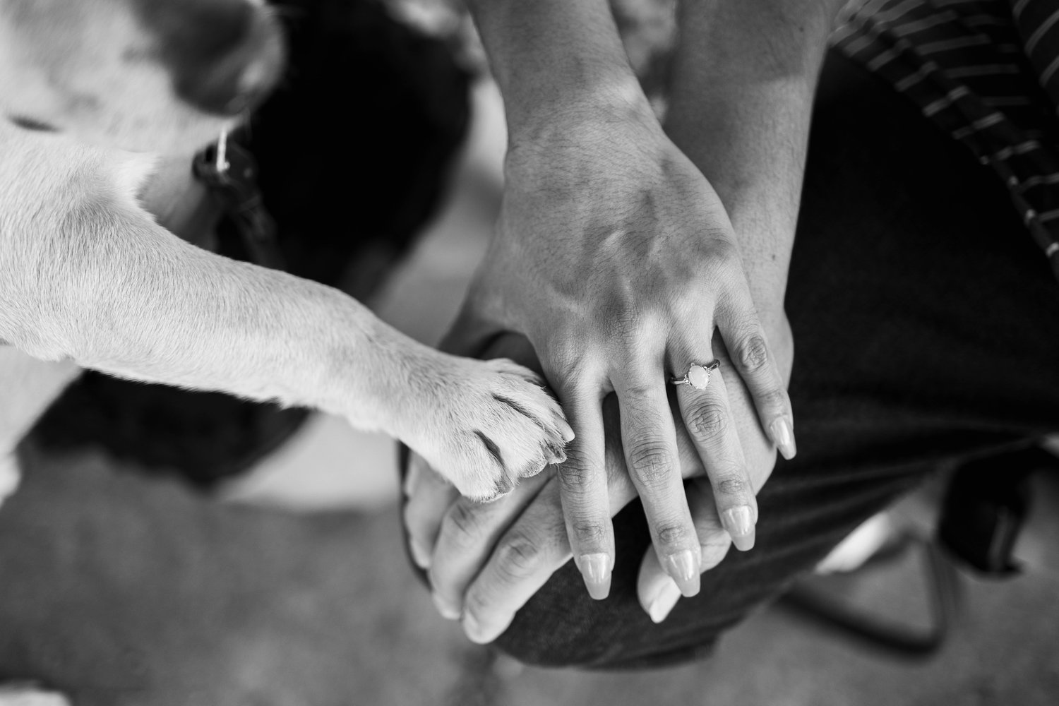 The Wedding Website of Marlene Camacho and Eric Gomez