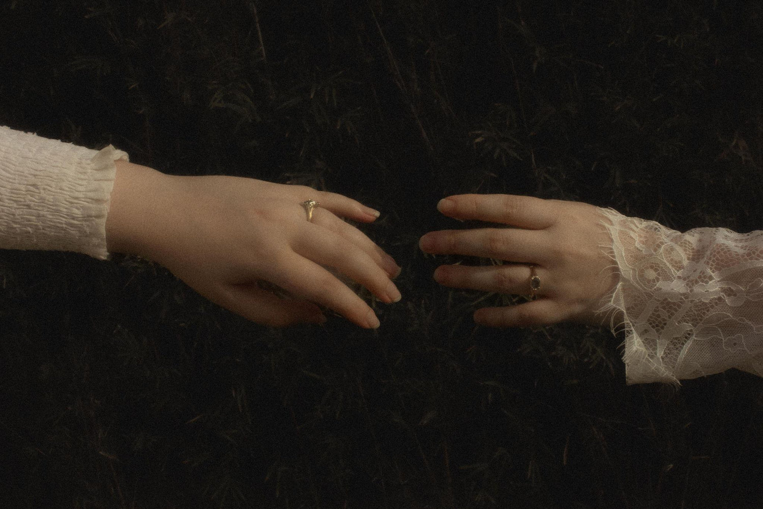 The Wedding Website of Sara Koczan and Alexis Karr
