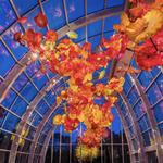Chihuly Garden and Glass