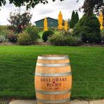 Sheldrake Point Winery