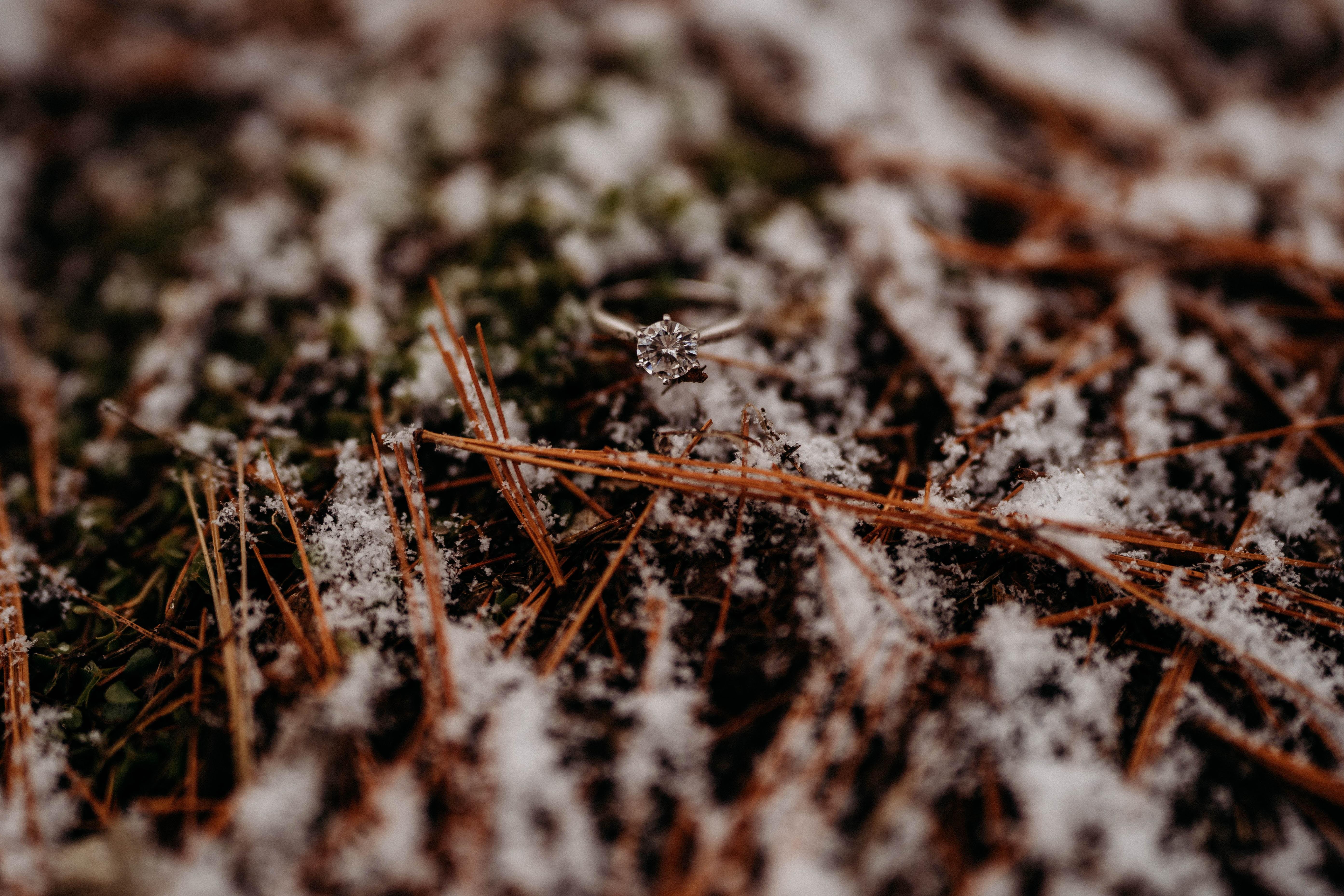 The Wedding Website of Abbey Schaeffer and Taylor Cordle