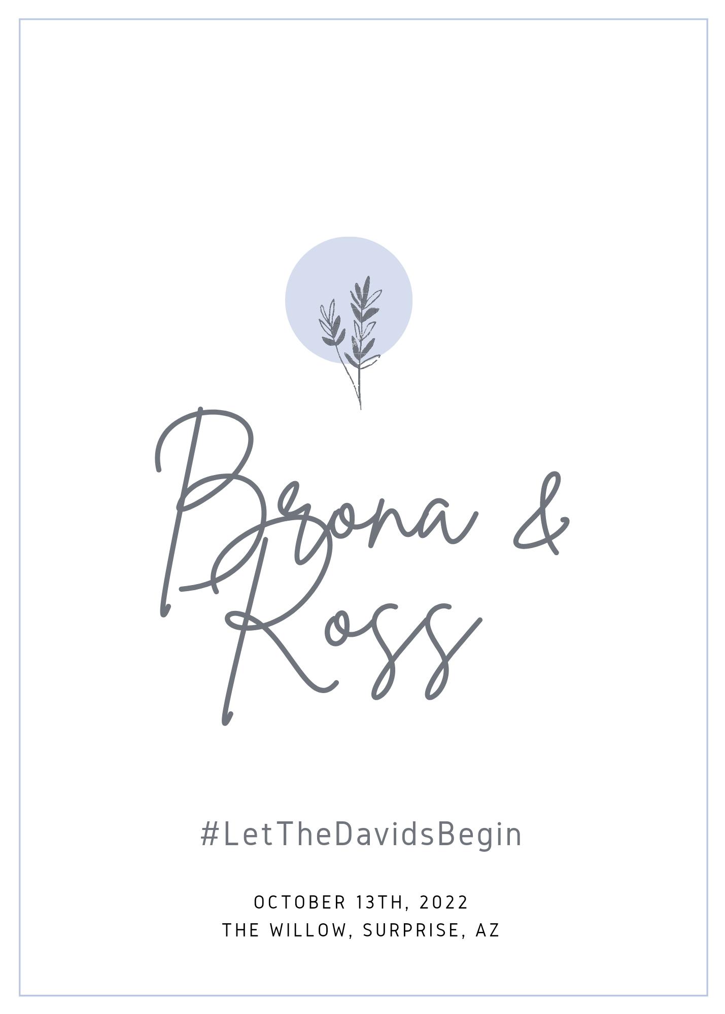 The Wedding Website of Brona Hagins and Ross Davids