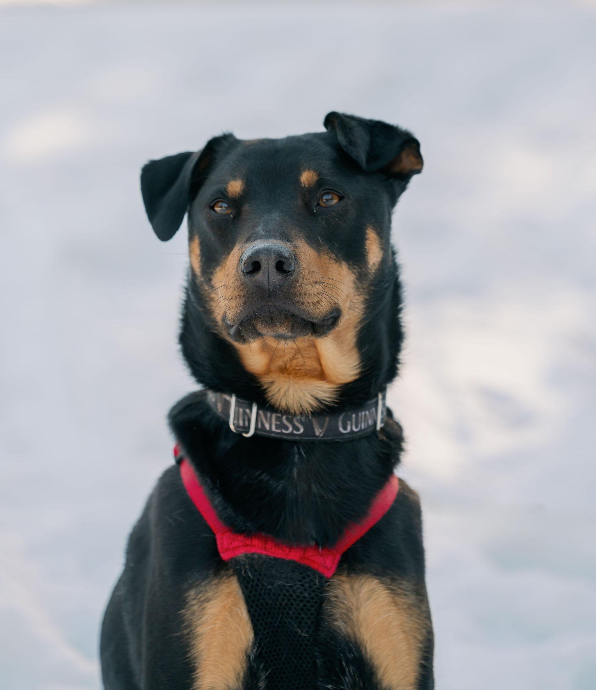 The Wedding Website of Samantha Smithies and Devlin Crane