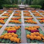 The North Carolina Arboretum