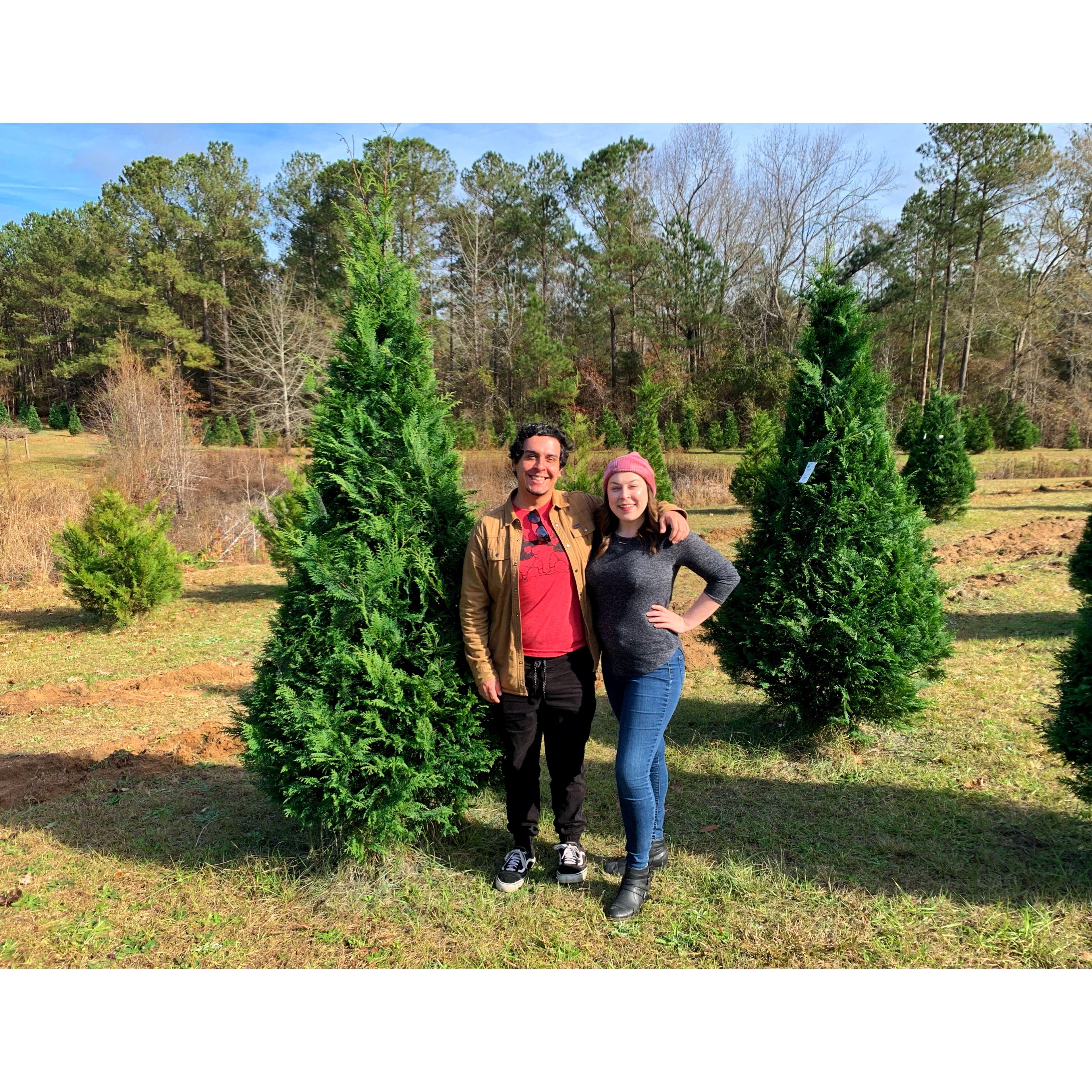 Christmas tree shopping with Kimberly's family.