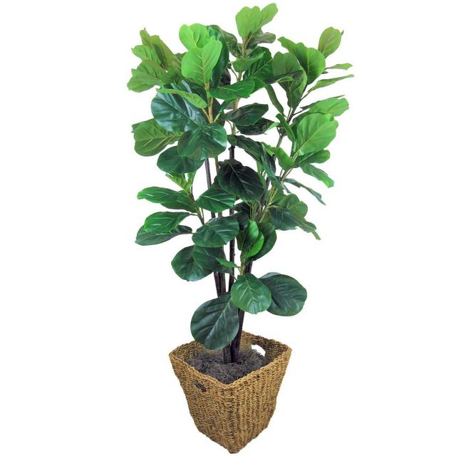 66" Artificial Fiddle Leaf Fig Tree in Square Basket - LCG Florals