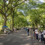 Central Park