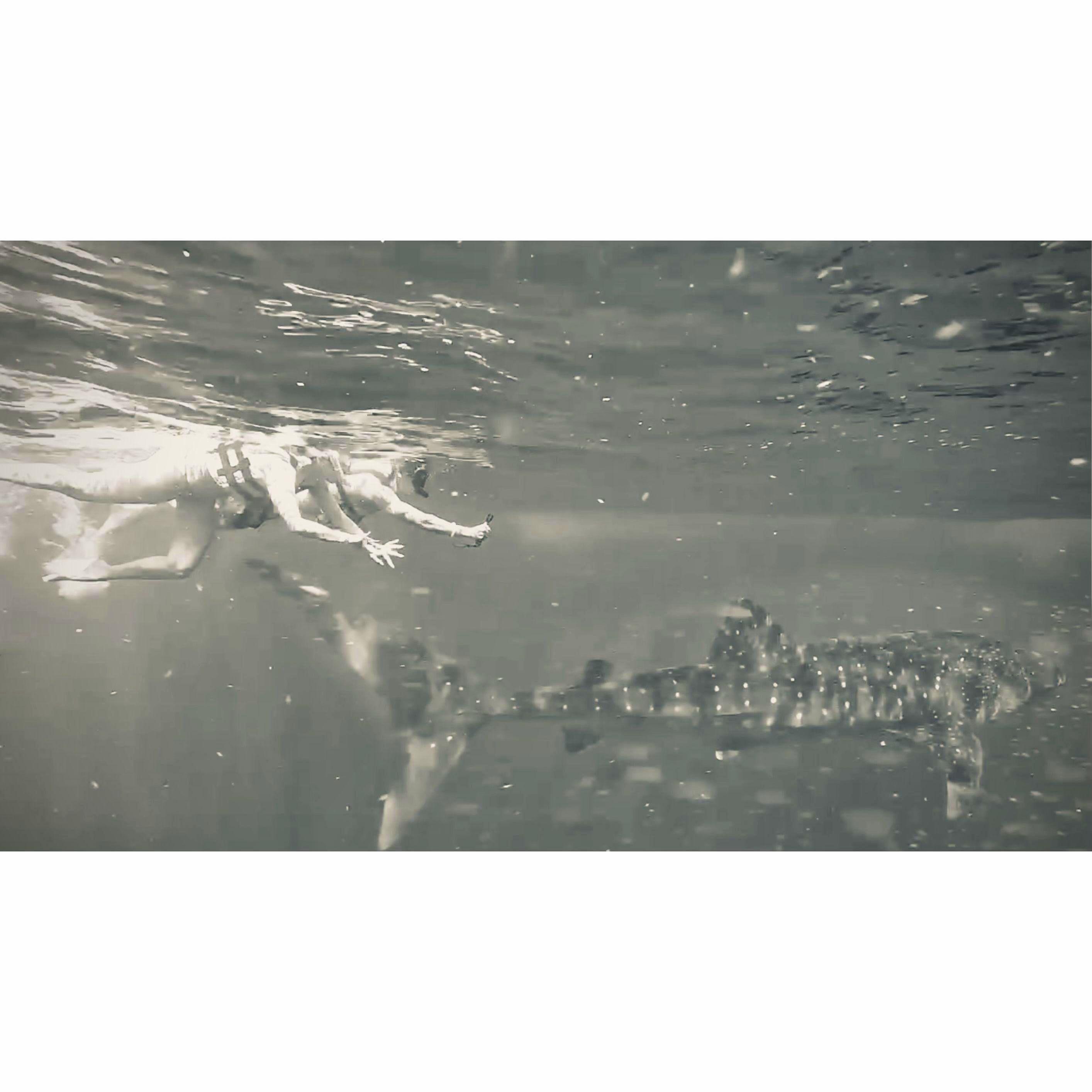 Jac convincing Rob to swim with whale sharks for our dual birthdays: July 1st and July 2nd!