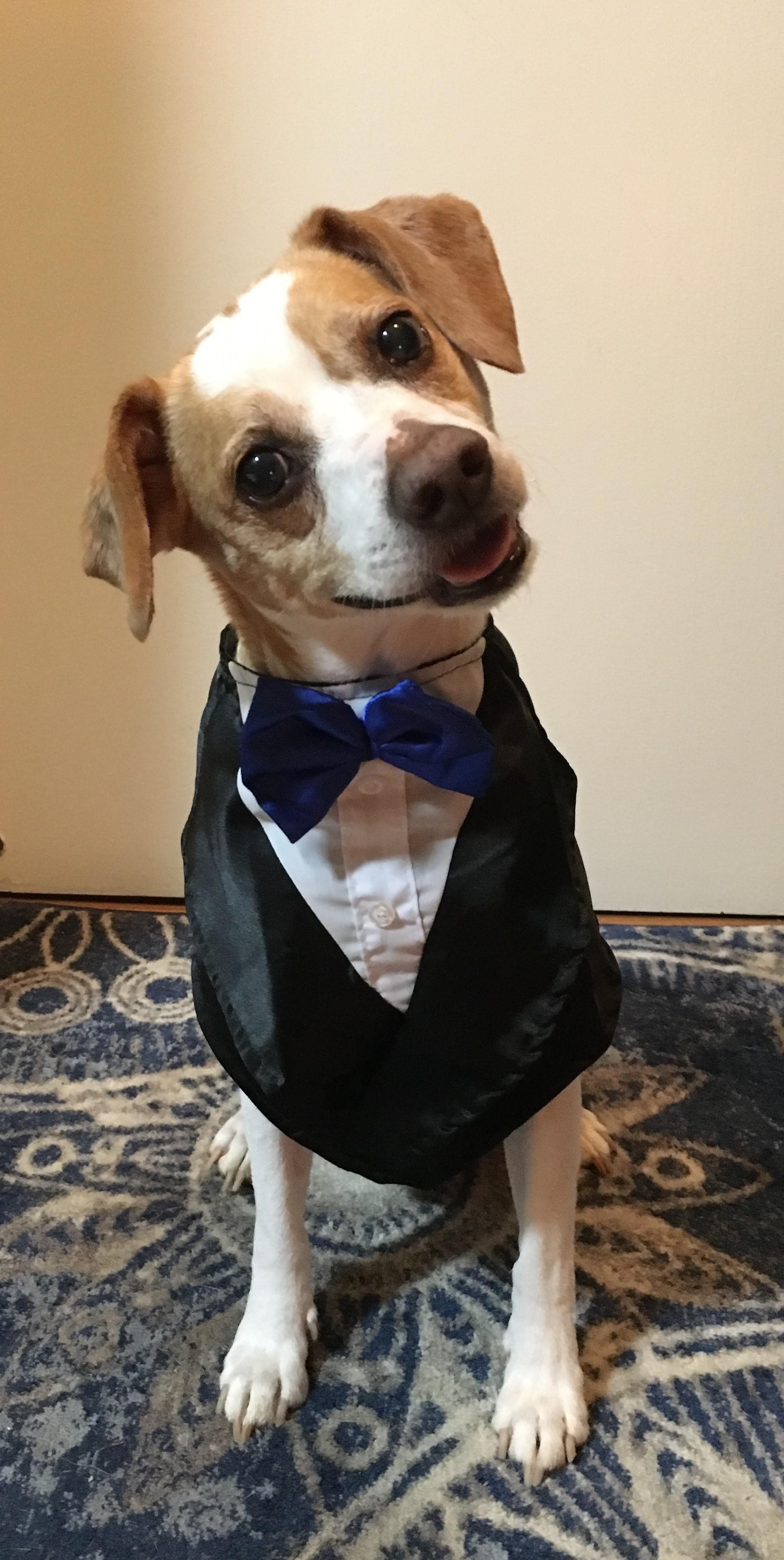 The Wedding Website of Chris Wheat and Katie Bateman