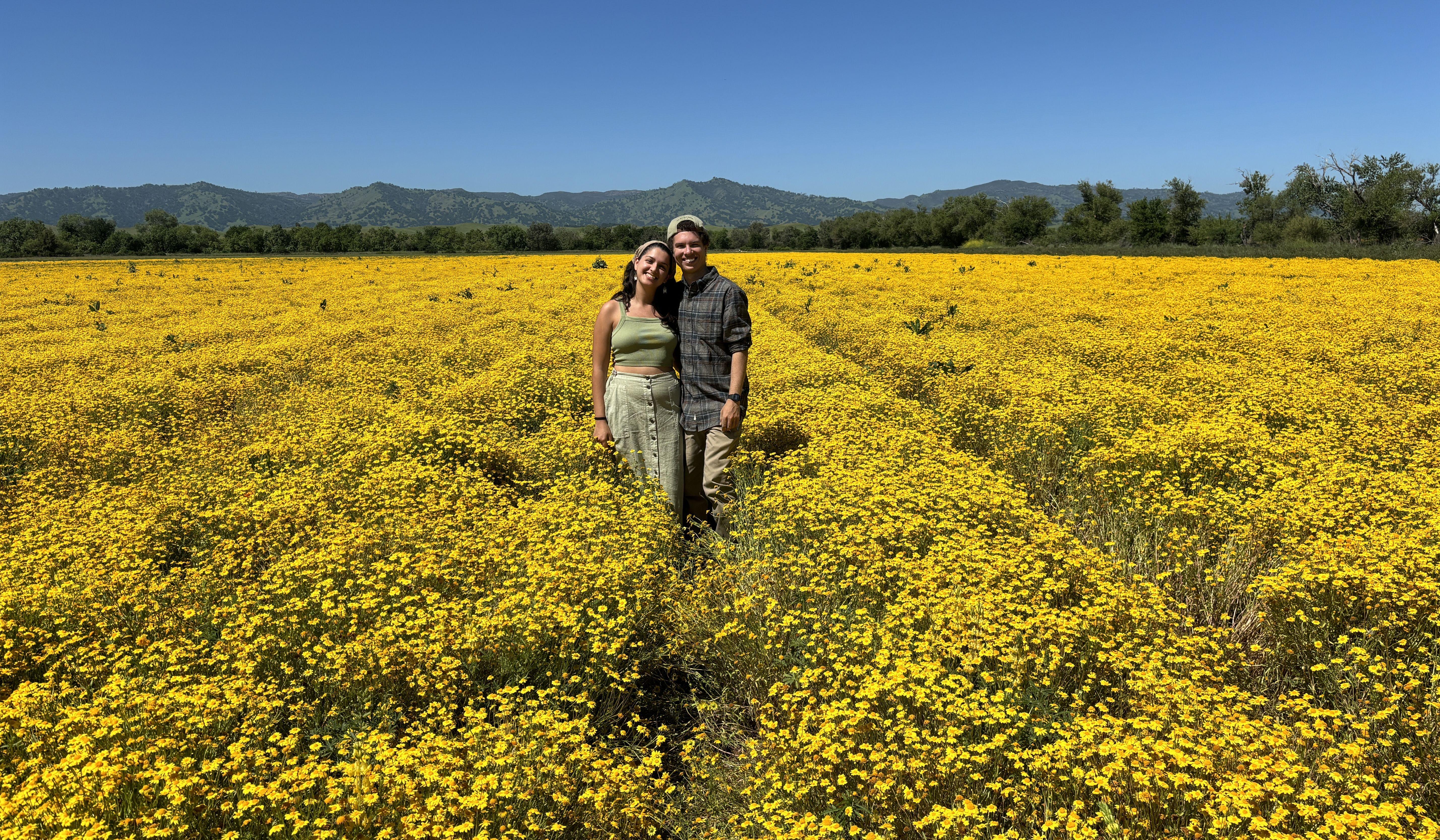 Hero Slideshow Image 0