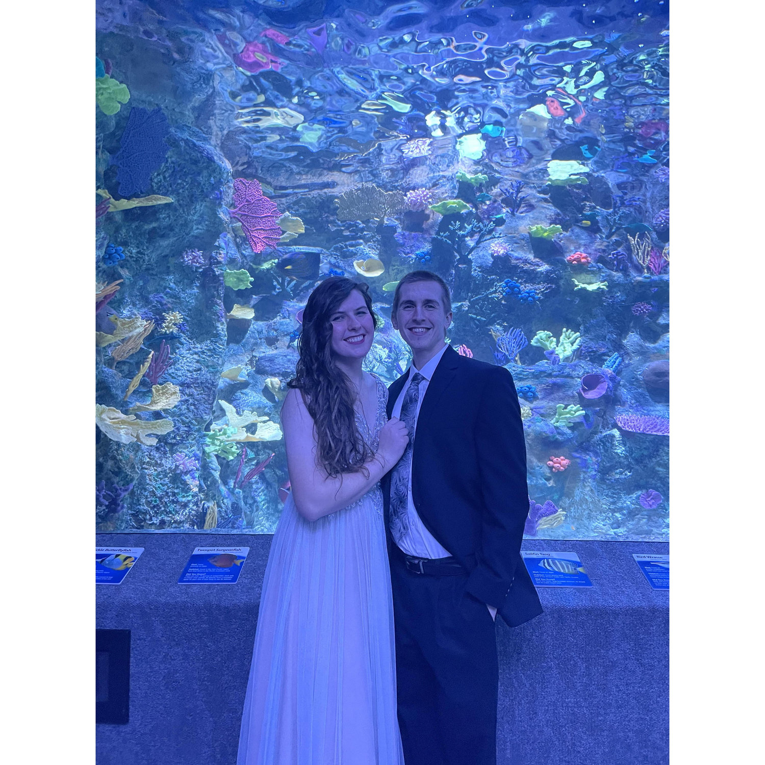 The Barrister's Ball (aka Law School Prom)