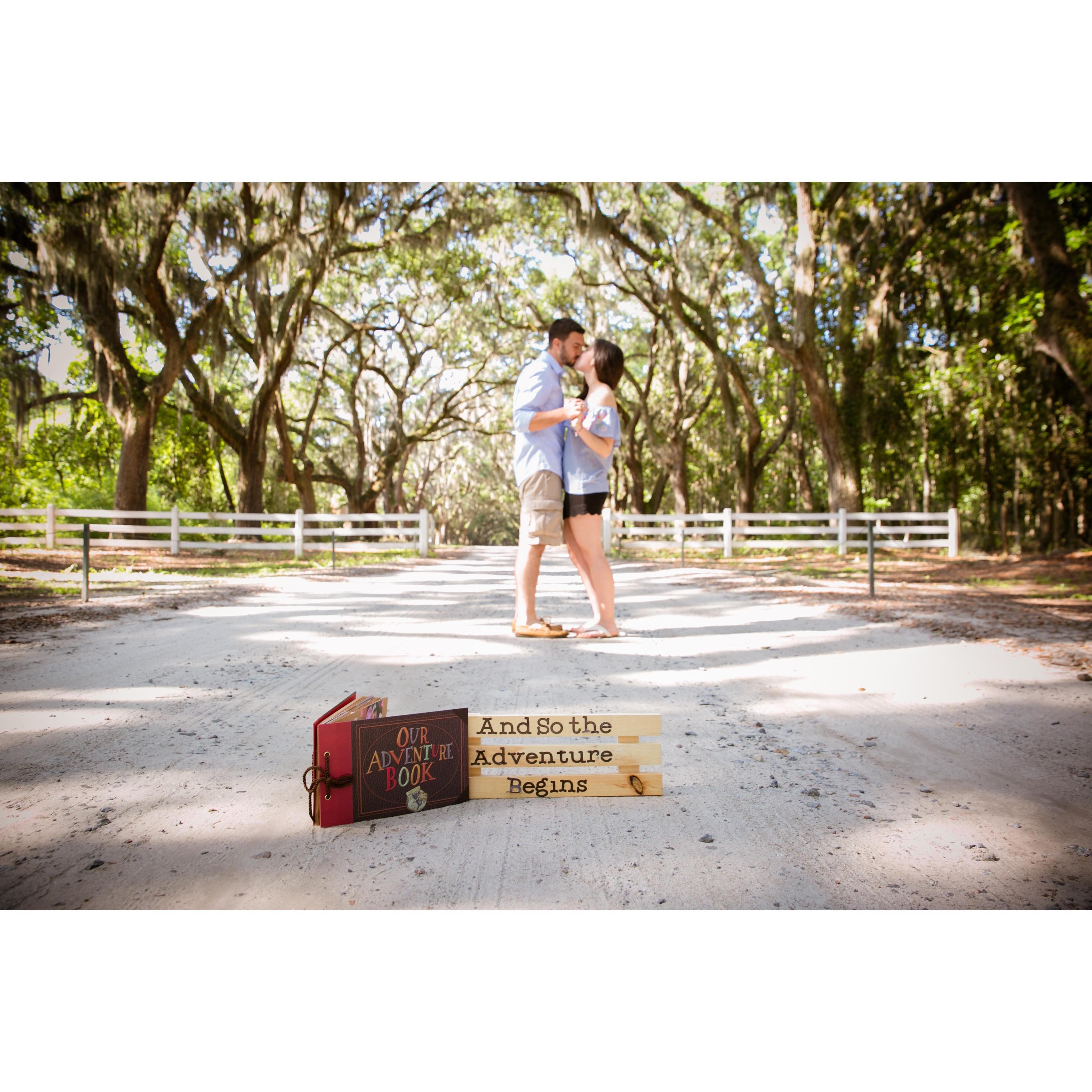 Wormsloe Historic Site - Savannah, GA