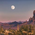 Saguaro National Park