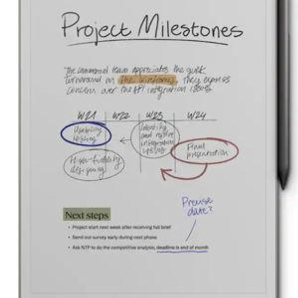 reMarkable - Paper Pro - 11.8" Paper Tablet with Marker Plus - Gray