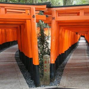 Tour of Kyoto