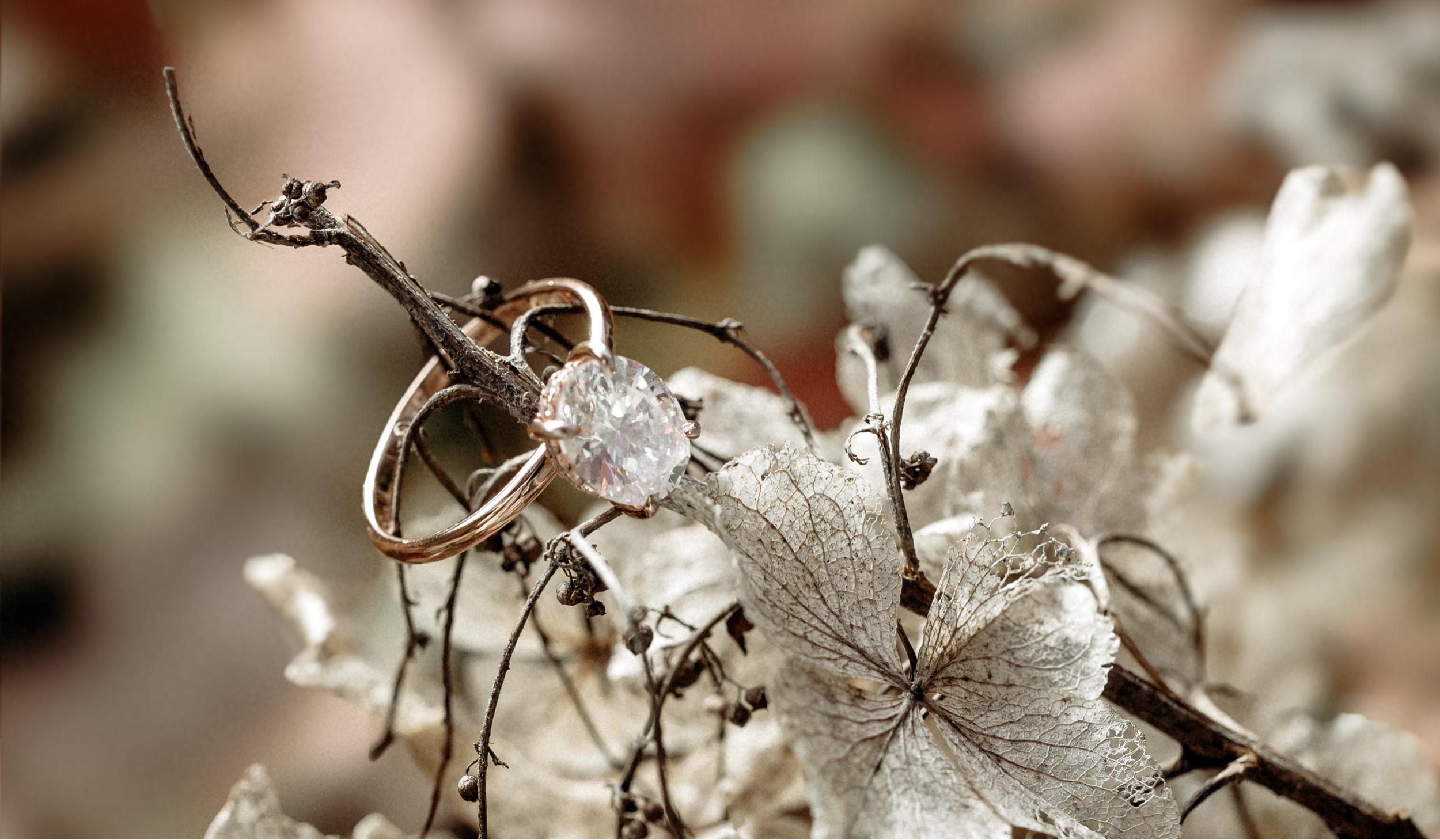 The Wedding Website of Cheyla Brookens and Kip Rohrer