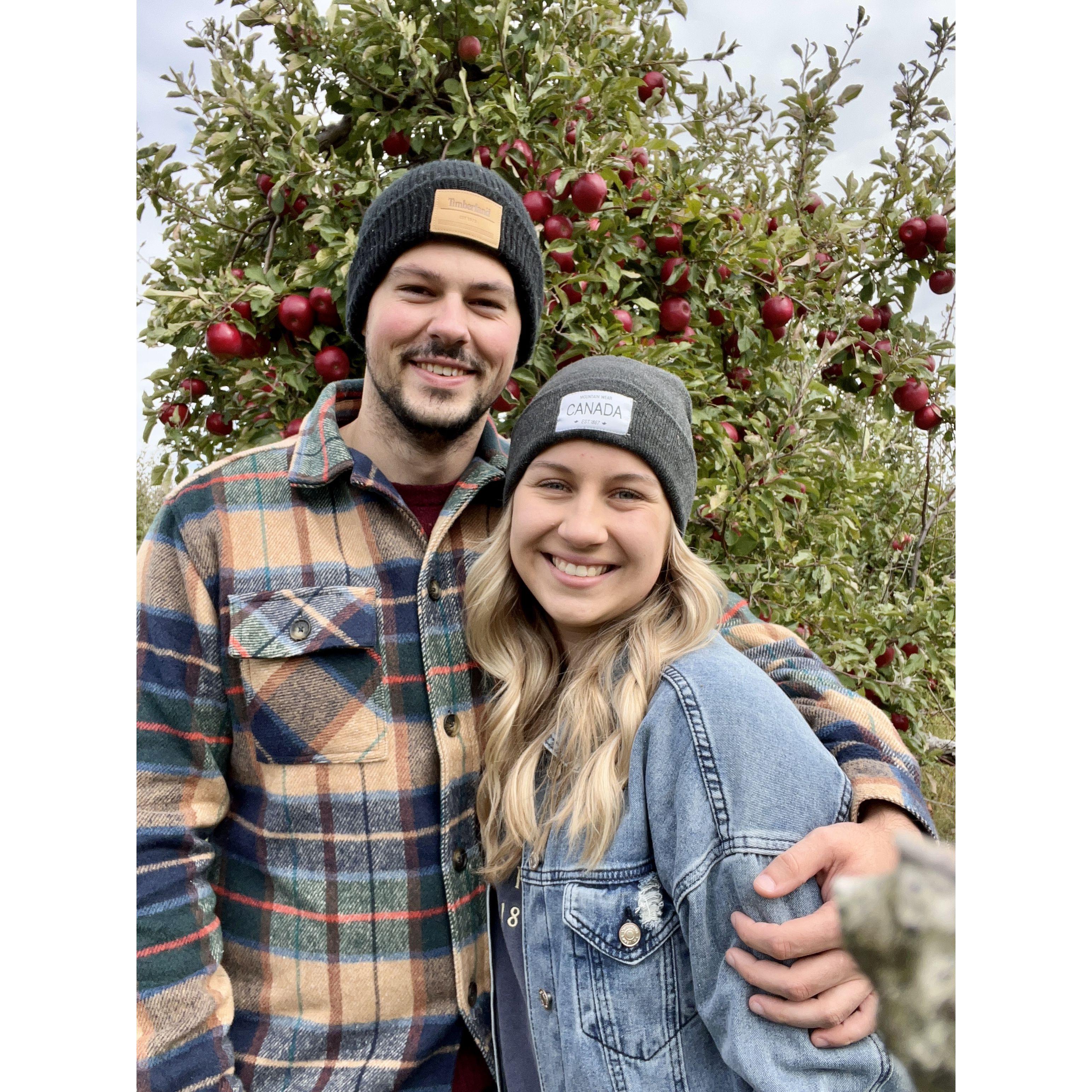 Apple Picking - 2021