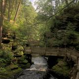 Bushkill Falls