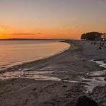 Golden Gardens Park