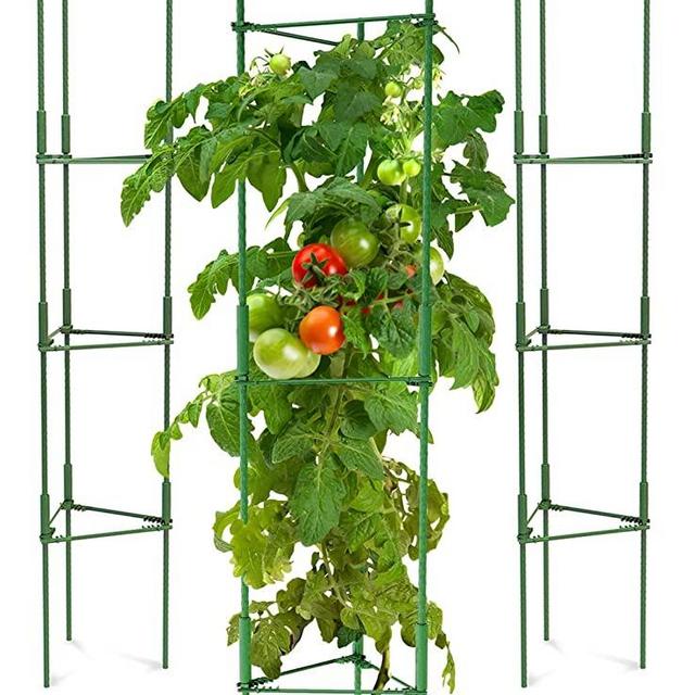 K-Brands Tomato Cage - Plant Stakes and Support with Clips (3 Pack - Upto 72 inches Tall)