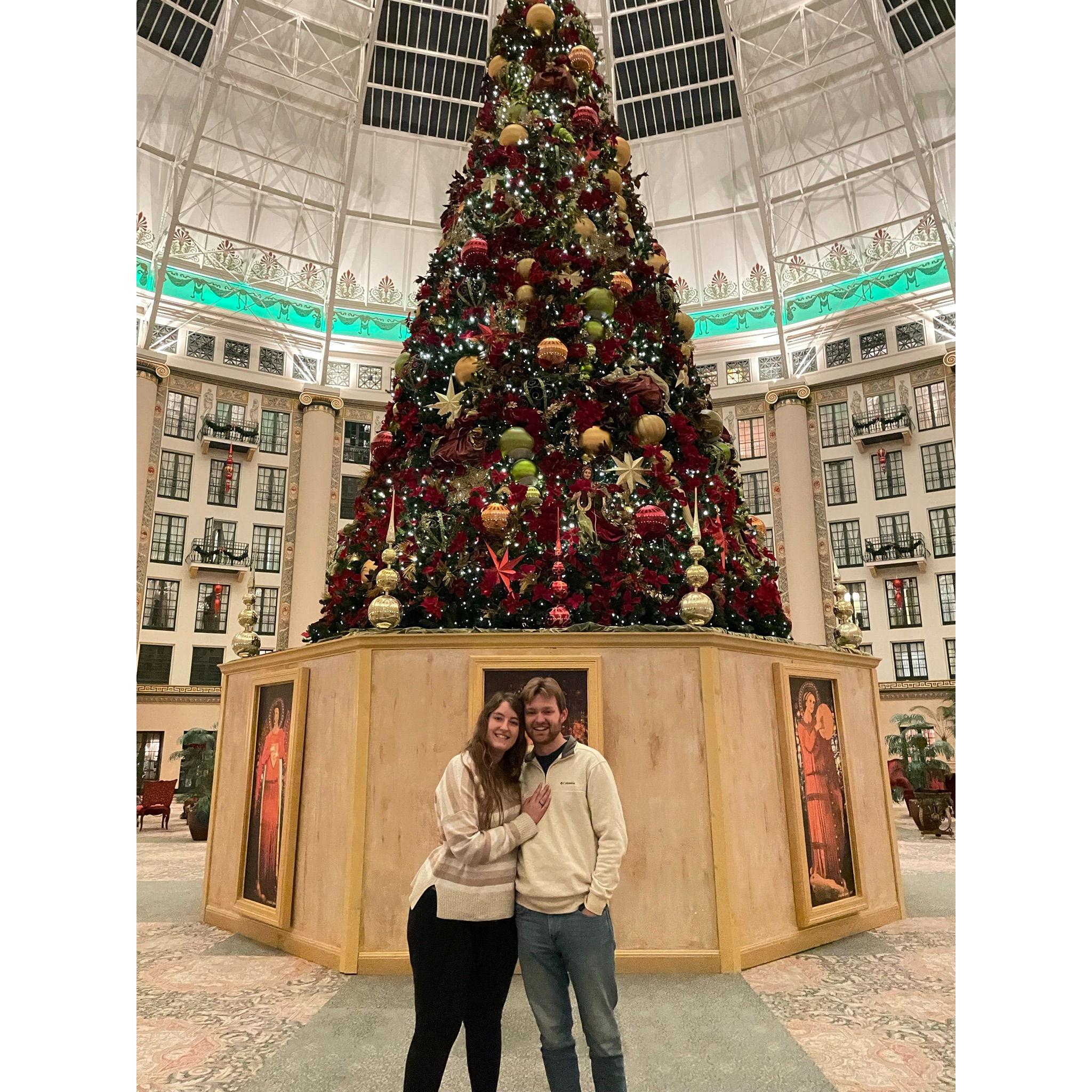 December 2021. First holiday season together at the West Baden Springs Hotel Christmas Tree.