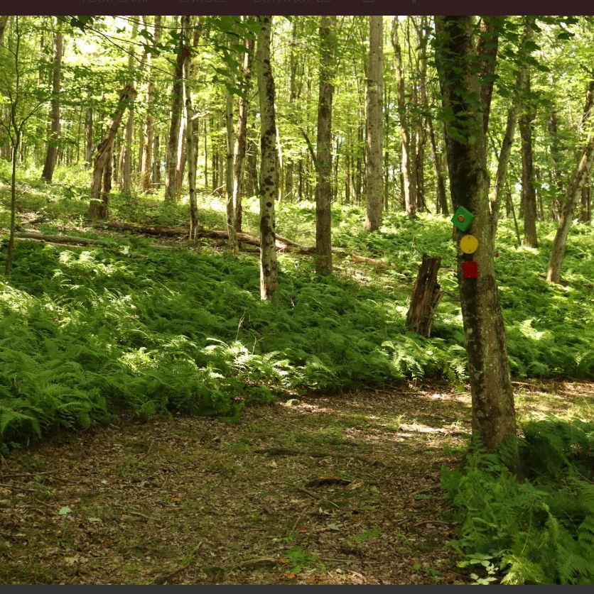 Hiking trails