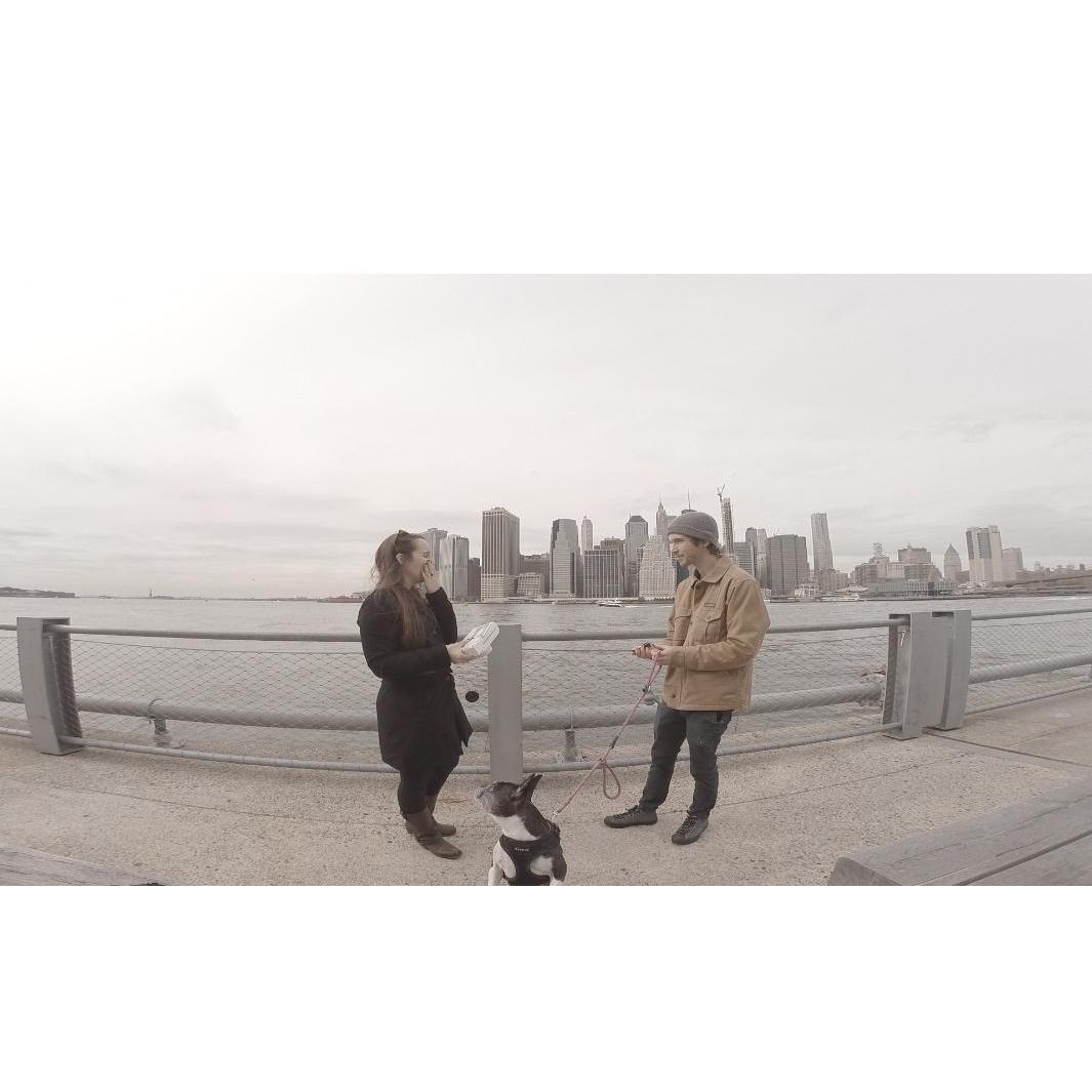Proposal picture