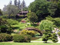 The Huntington Library, Art Collections, and Botanical Gardens