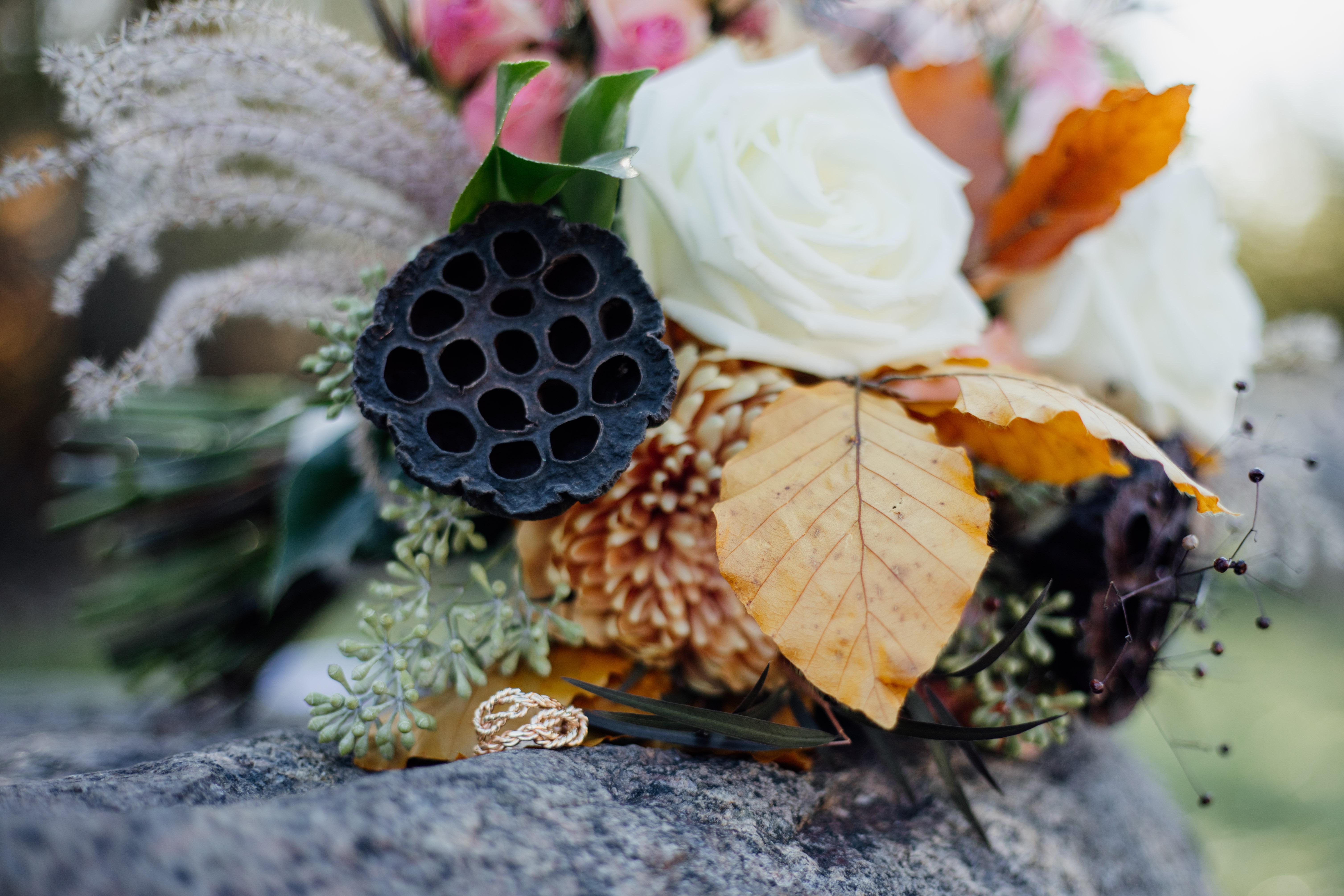 842bf679-bd05-4ef6-a631-fa1e6dc07dc4