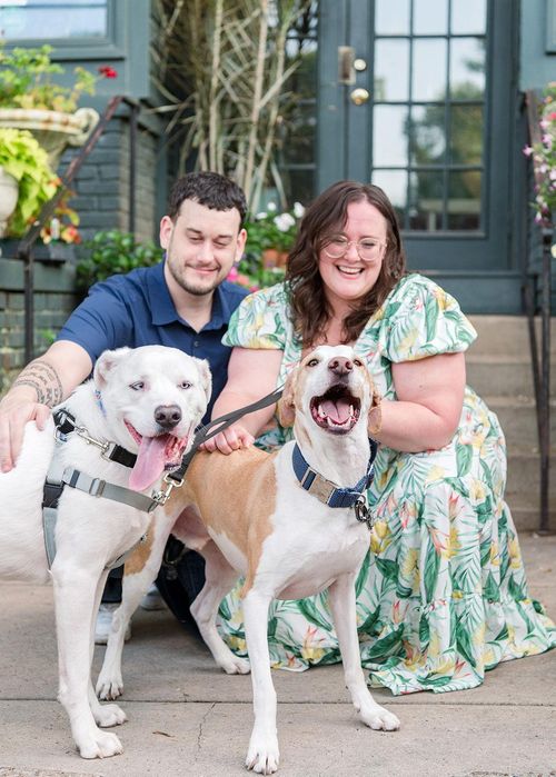 Hero image 2