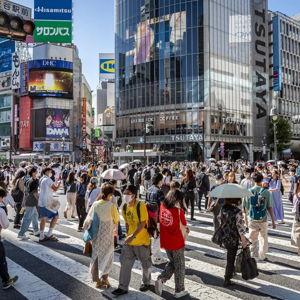 Our Japan Honeymoon Fund