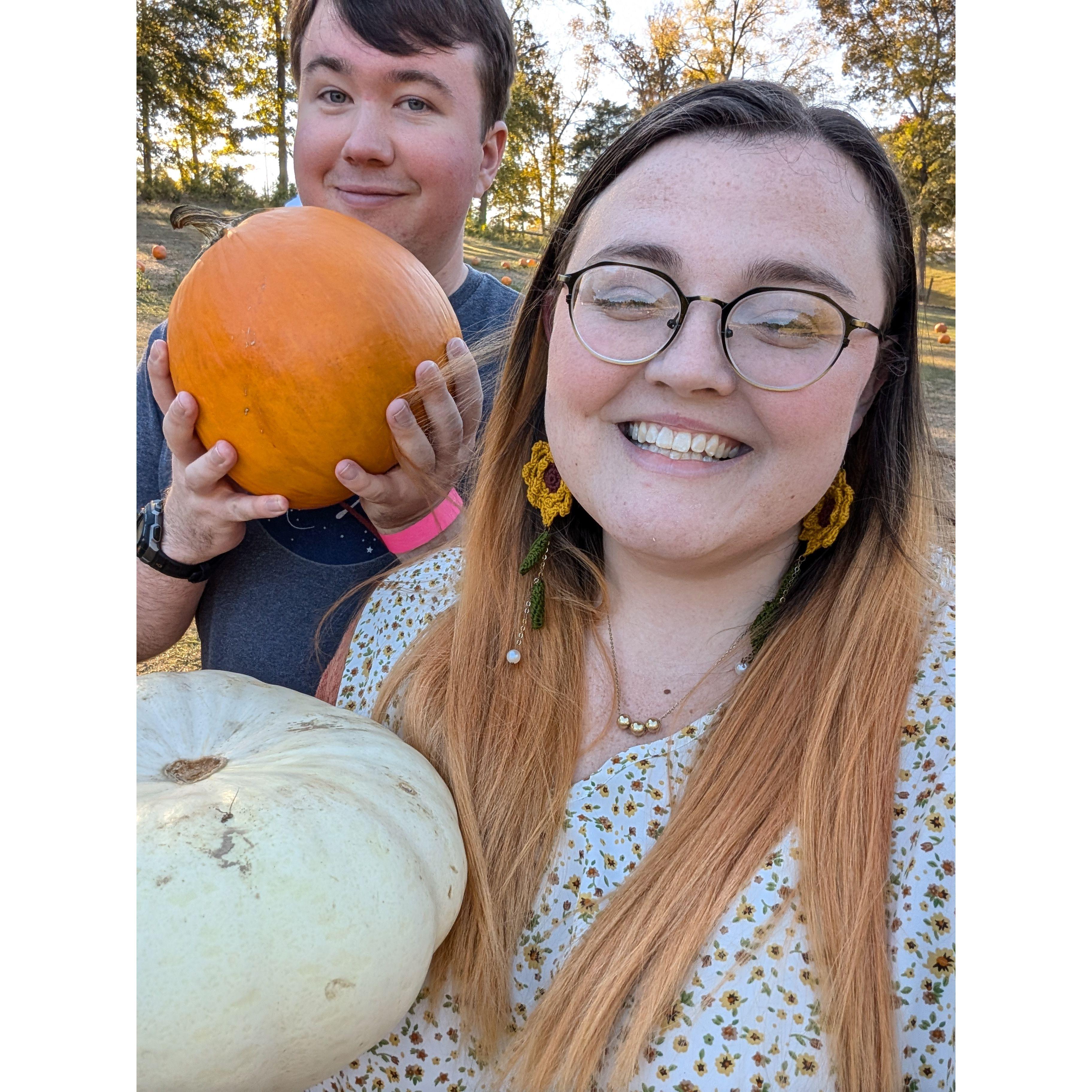 We met a cat at this pumpkin farm