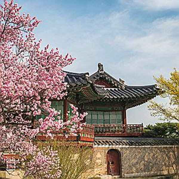 10 Day Stay In Korea