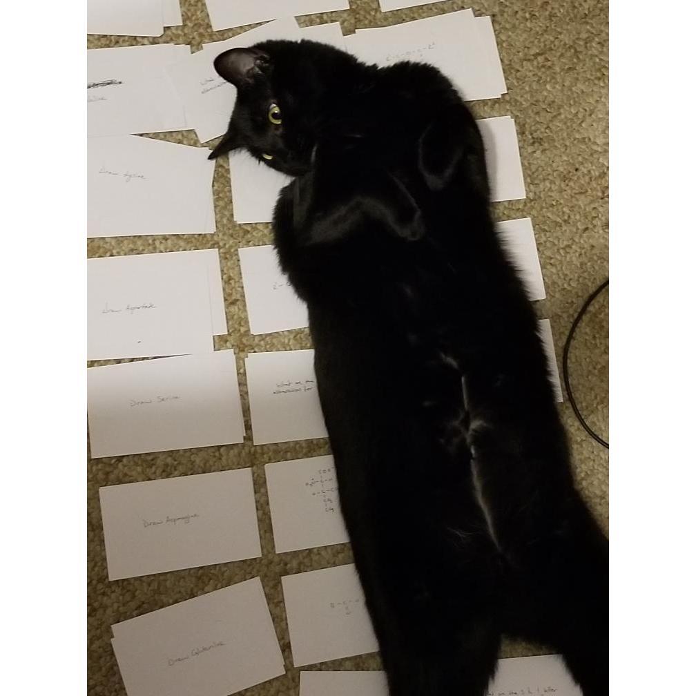nice flashcards, nice bed