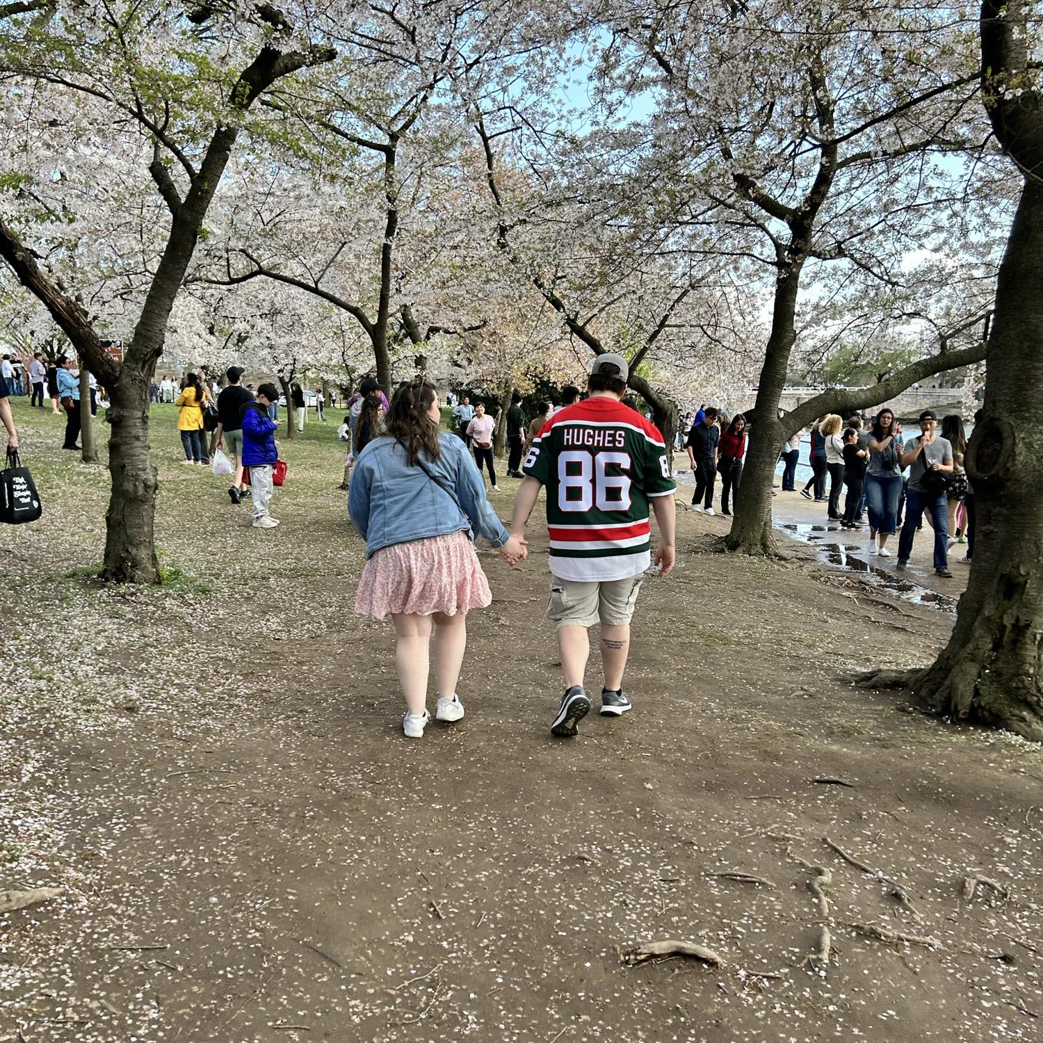 DC cherry blossom festival March 2023