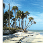 Cayo Costa State Park