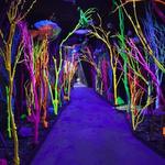 Meow Wolf Santa Fe's House of Eternal Return