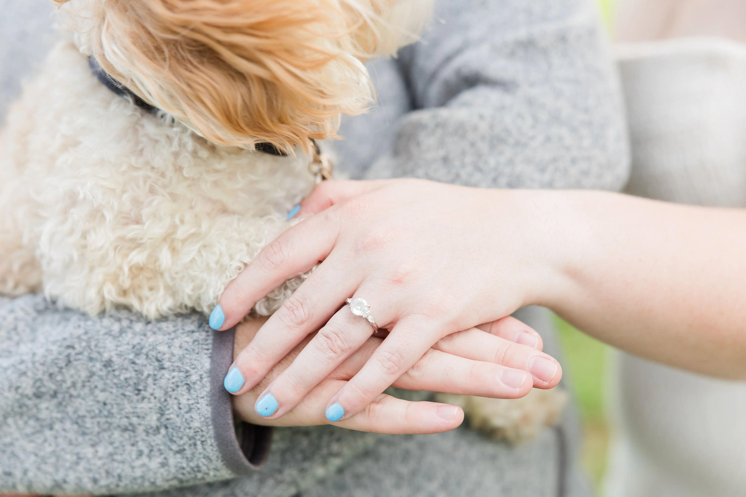 The Wedding Website of Mary Bridges and Will Russell