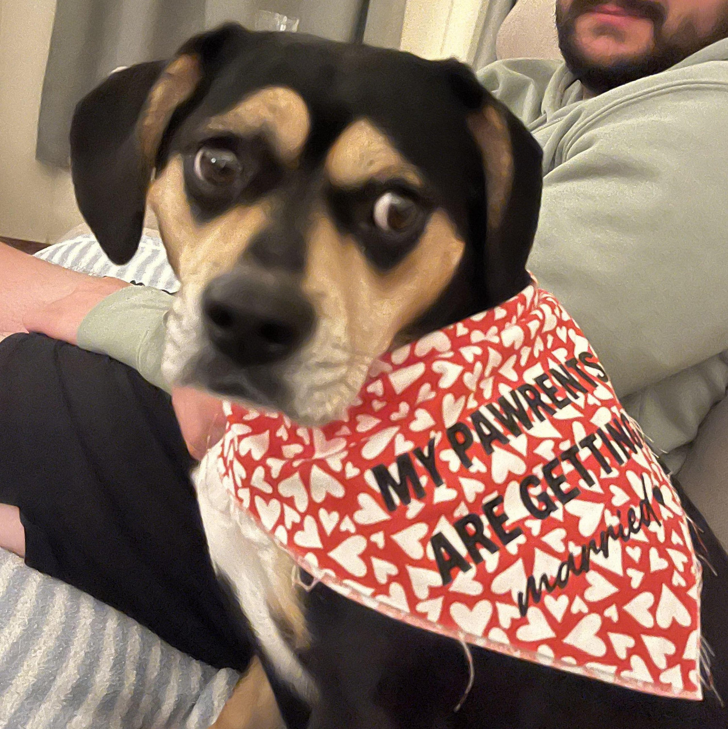Maggie Celebrates her PAWrents!
