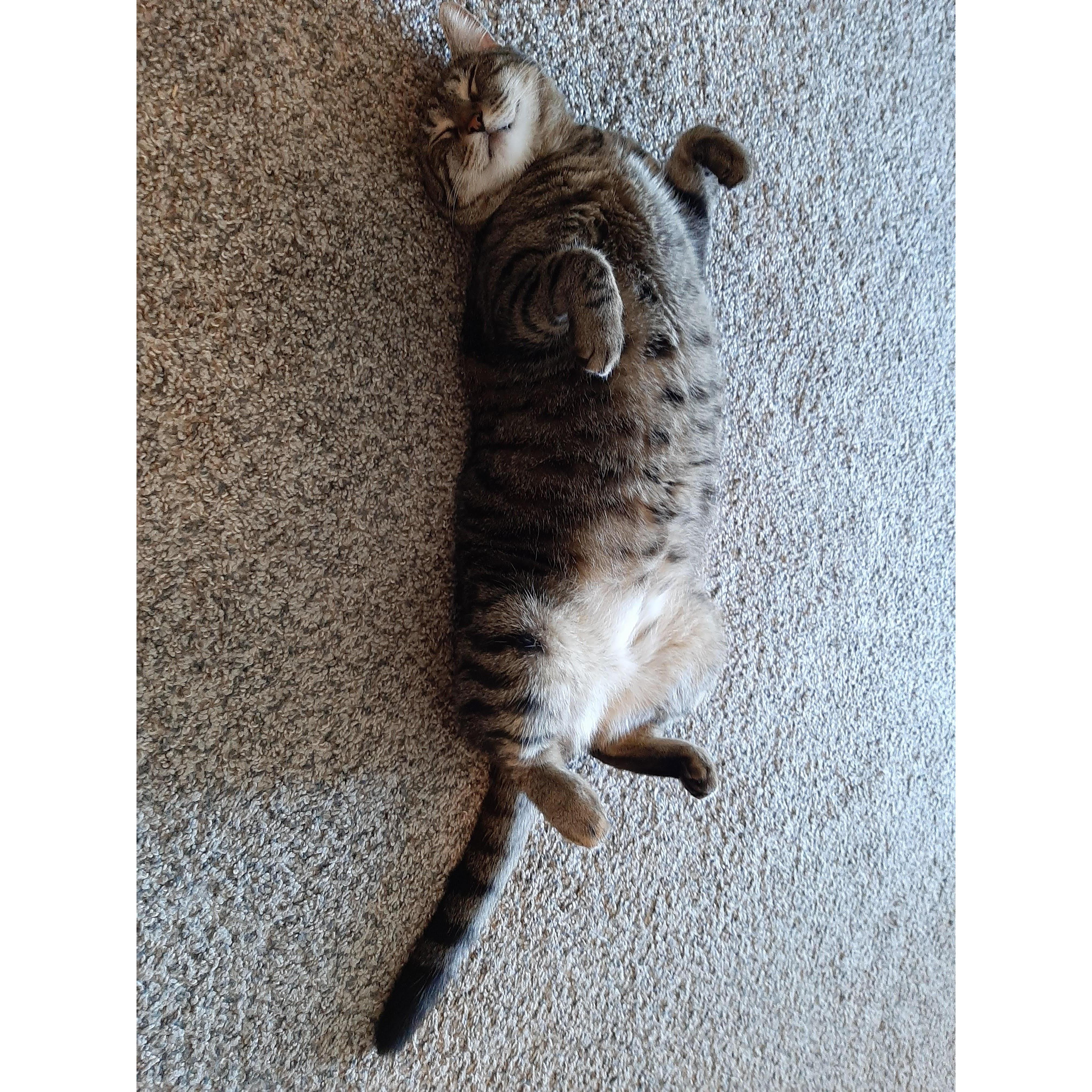 Zola's favorite pose