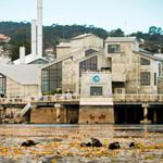 MONTEREY BAY AQUARIUM