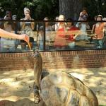 Smithsonian National Zoological Park