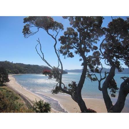 In 1840, the Treaty of Waitangi was signed at nearby Orua Bay, marking Āwhitu as a key site in Aotearoa’s colonial history and the evolving relationship between Māori and the Crown.